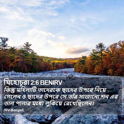 যিহোচূৱা 2:6 BENIRV Bible Verse Image
