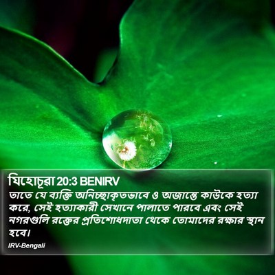 যিহোচূৱা 20:3 BENIRV Bible Verse Image