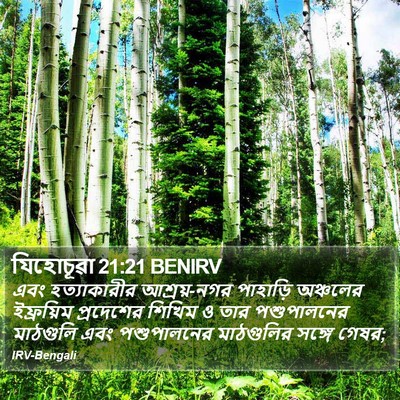 যিহোচূৱা 21:21 BENIRV Bible Verse Image