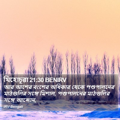 যিহোচূৱা 21:30 BENIRV Bible Verse Image