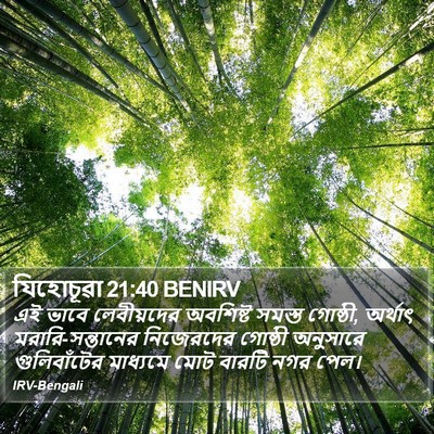 যিহোচূৱা 21:40 BENIRV Bible Verse Image