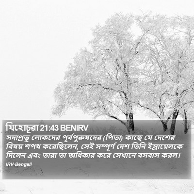 যিহোচূৱা 21:43 BENIRV Bible Verse Image