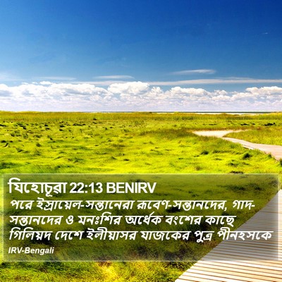 যিহোচূৱা 22:13 BENIRV Bible Verse Image