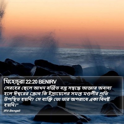 যিহোচূৱা 22:20 BENIRV Bible Verse Image