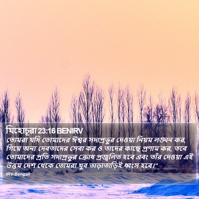 যিহোচূৱা 23:16 BENIRV Bible Verse Image