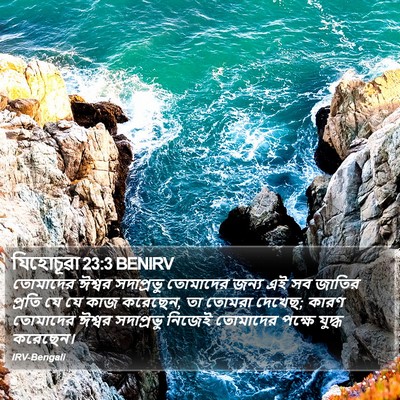 যিহোচূৱা 23:3 BENIRV Bible Verse Image