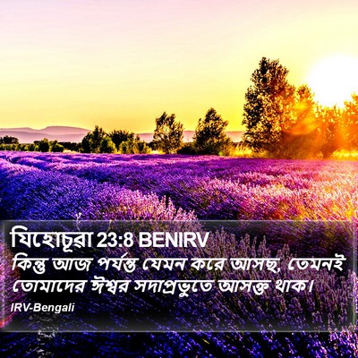 যিহোচূৱা 23:8 BENIRV Bible Verse Image