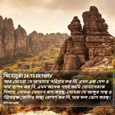 যিহোচূৱা 24:13 BENIRV Bible Verse Image