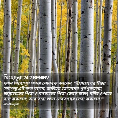 যিহোচূৱা 24:2 BENIRV Bible Verse Image