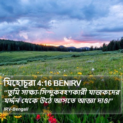 যিহোচূৱা 4:16 BENIRV Bible Verse Image