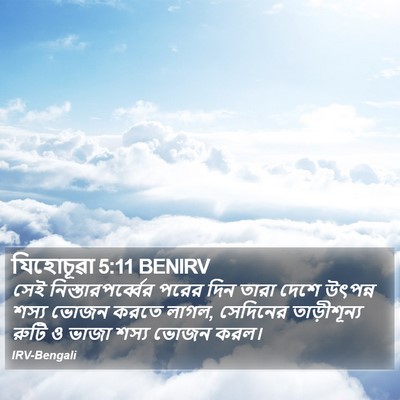 যিহোচূৱা 5:11 BENIRV Bible Verse Image