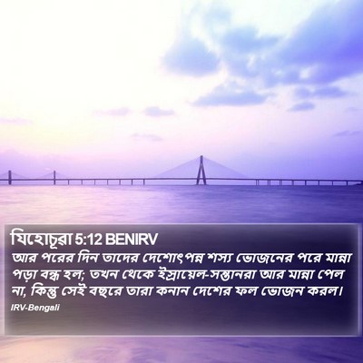 যিহোচূৱা 5:12 BENIRV Bible Verse Image