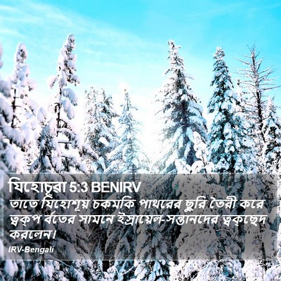 যিহোচূৱা 5:3 BENIRV Bible Verse Image