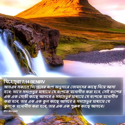 যিহোচূৱা 7:14 BENIRV Bible Verse Image