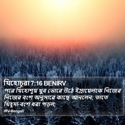 যিহোচূৱা 7:16 BENIRV Bible Verse Image