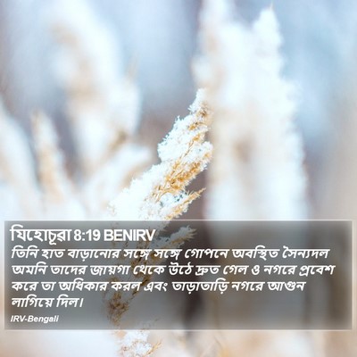 যিহোচূৱা 8:19 BENIRV Bible Verse Image