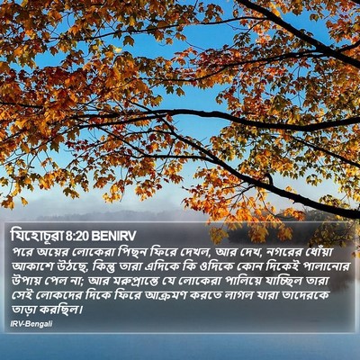 যিহোচূৱা 8:20 BENIRV Bible Verse Image