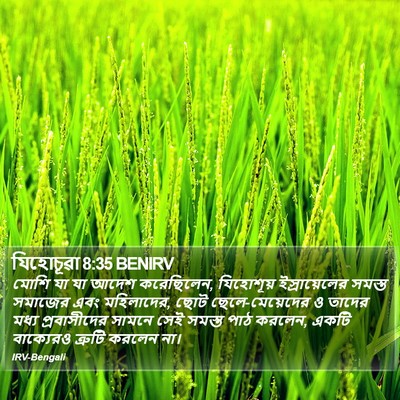 যিহোচূৱা 8:35 BENIRV Bible Verse Image