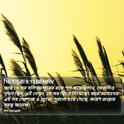 যিহোচূৱা 9:13 BENIRV Bible Verse Image