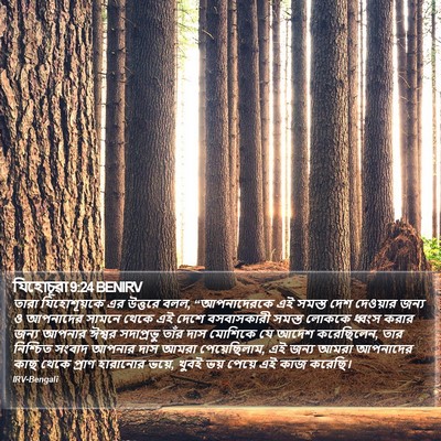 যিহোচূৱা 9:24 BENIRV Bible Verse Image