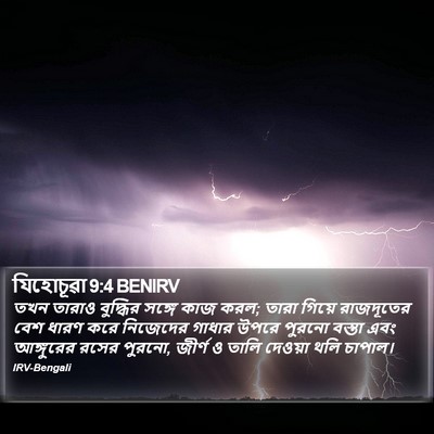যিহোচূৱা 9:4 BENIRV Bible Verse Image