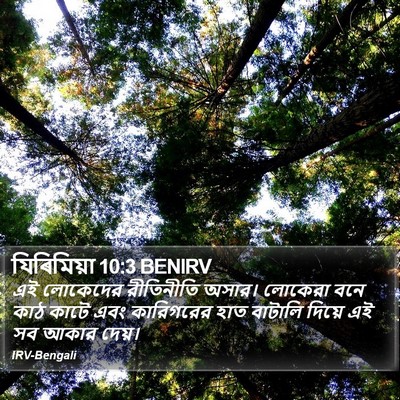 যিৰিমিয়া 10:3 BENIRV Bible Verse Image