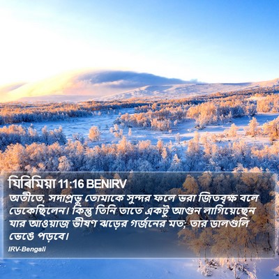 যিৰিমিয়া 11:16 BENIRV Bible Verse Image