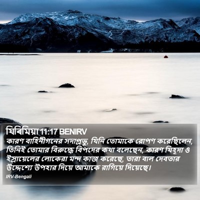 যিৰিমিয়া 11:17 BENIRV Bible Verse Image