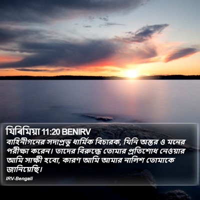 যিৰিমিয়া 11:20 BENIRV Bible Verse Image