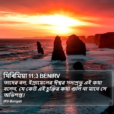 যিৰিমিয়া 11:3 BENIRV Bible Verse Image