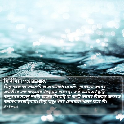 যিৰিমিয়া 11:8 BENIRV Bible Verse Image
