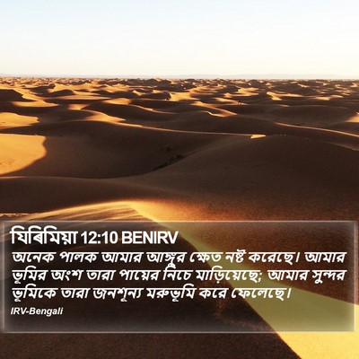 যিৰিমিয়া 12:10 BENIRV Bible Verse Image