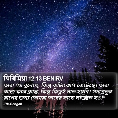 যিৰিমিয়া 12:13 BENIRV Bible Verse Image