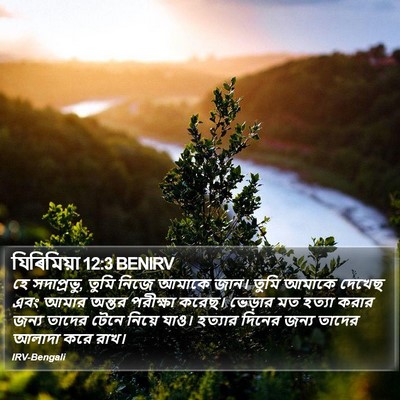 যিৰিমিয়া 12:3 BENIRV Bible Verse Image