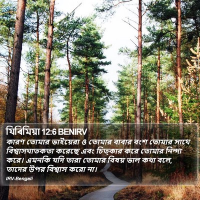 যিৰিমিয়া 12:6 BENIRV Bible Verse Image