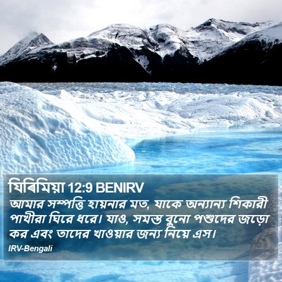 যিৰিমিয়া 12:9 BENIRV Bible Verse Image