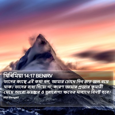 যিৰিমিয়া 14:17 BENIRV Bible Verse Image