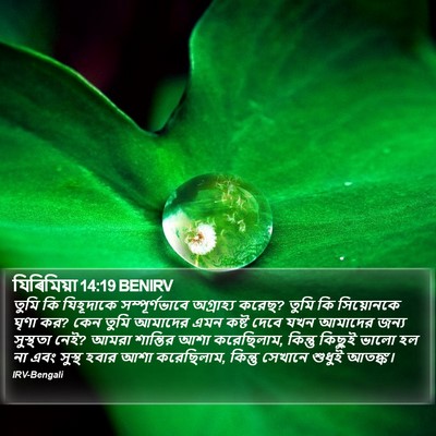 যিৰিমিয়া 14:19 BENIRV Bible Verse Image