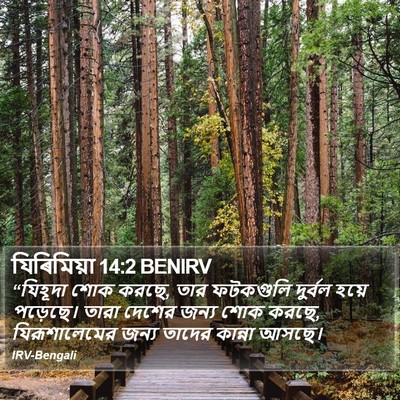 যিৰিমিয়া 14:2 BENIRV Bible Verse Image