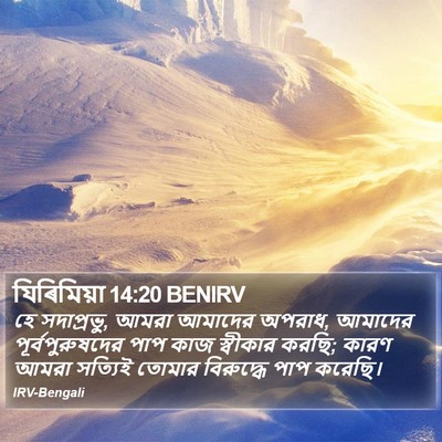 যিৰিমিয়া 14:20 BENIRV Bible Verse Image