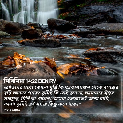 যিৰিমিয়া 14:22 BENIRV Bible Verse Image