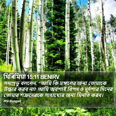 যিৰিমিয়া 15:11 BENIRV Bible Verse Image