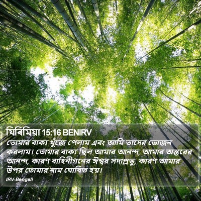যিৰিমিয়া 15:16 BENIRV Bible Verse Image