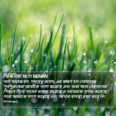 যিৰিমিয়া 16:11 BENIRV Bible Verse Image