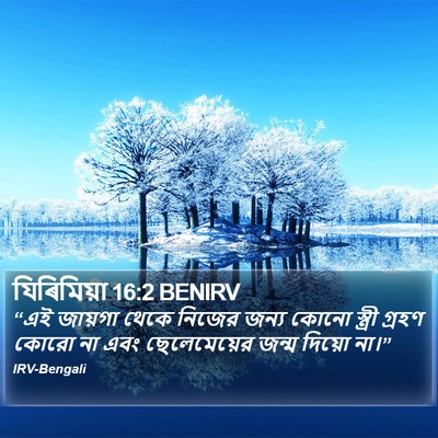 যিৰিমিয়া 16:2 BENIRV Bible Verse Image