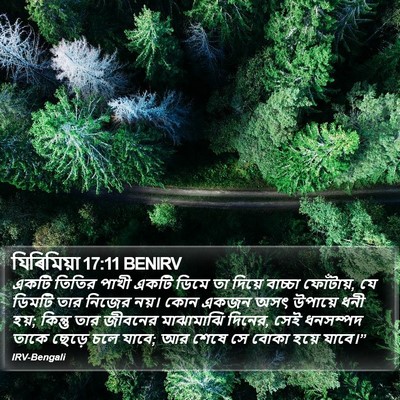 যিৰিমিয়া 17:11 BENIRV Bible Verse Image