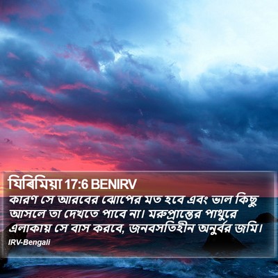 যিৰিমিয়া 17:6 BENIRV Bible Verse Image