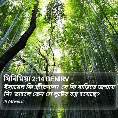 যিৰিমিয়া 2:14 BENIRV Bible Verse Image
