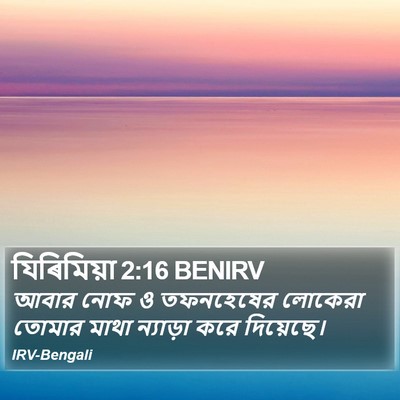 যিৰিমিয়া 2:16 BENIRV Bible Verse Image