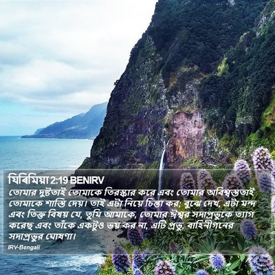 যিৰিমিয়া 2:19 BENIRV Bible Verse Image
